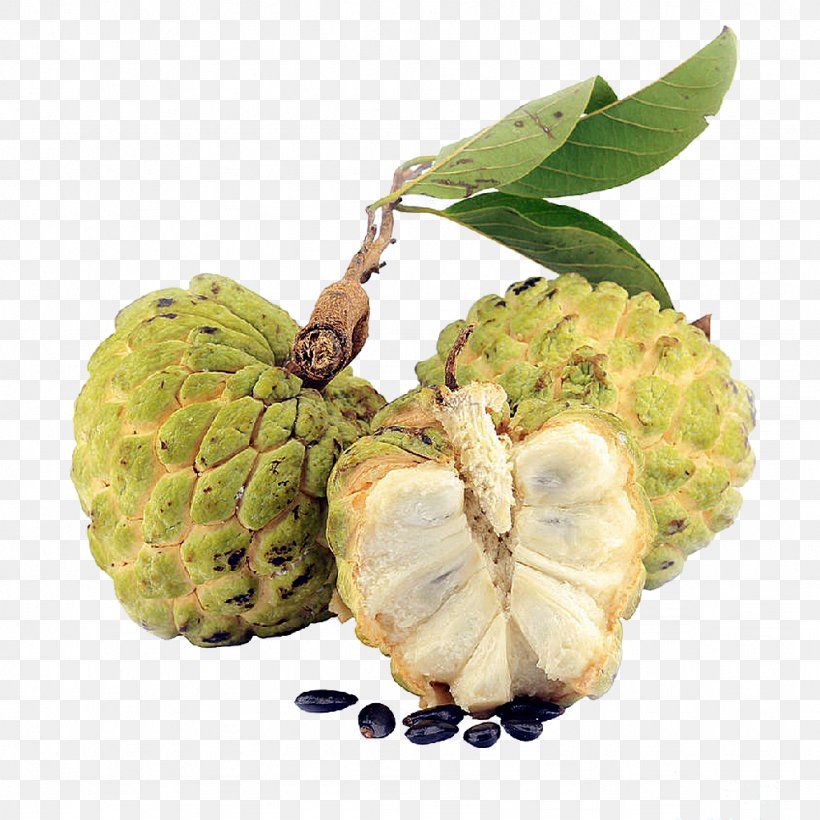 Apples Cartoon, PNG, 1024x1024px, Cherimoya, Annona, Colombian Cuisine, Custard, Custard Apples Download Free