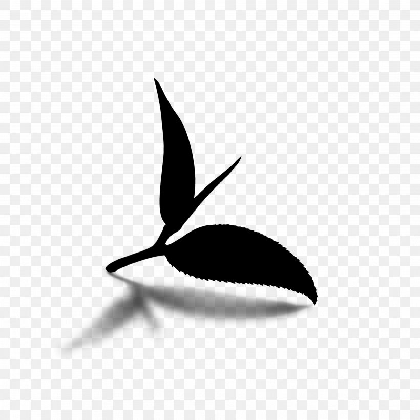 Clip Art Black & White, PNG, 3752x3752px, Black White M, Blackandwhite, Botany, Flower, Leaf Download Free