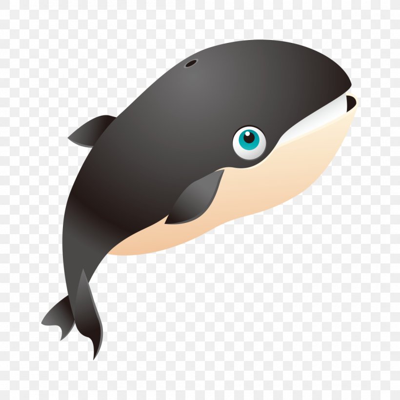 Clip Art Killer Whale T-shirt Whales Vector Graphics, PNG, 1100x1100px, Killer Whale, Beak, Blue Whale, Child, Clothing Download Free