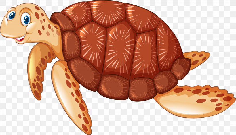 Sea Turtle Illustration, PNG, 2951x1694px, Turtle, Aquatic Animal, Box Turtle, Emydidae, Food Download Free
