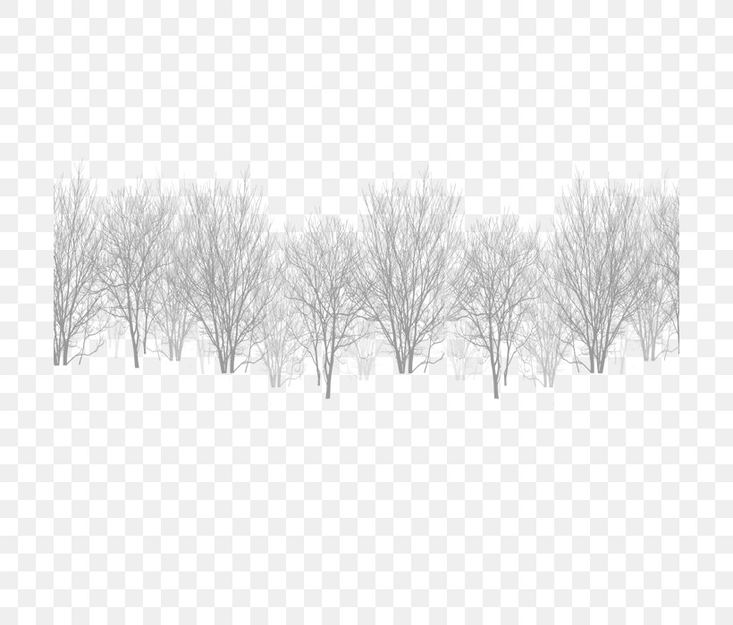 White Black Winter Sky, PNG, 700x700px, White, Black, Black And White, Branch, Freezing Download Free