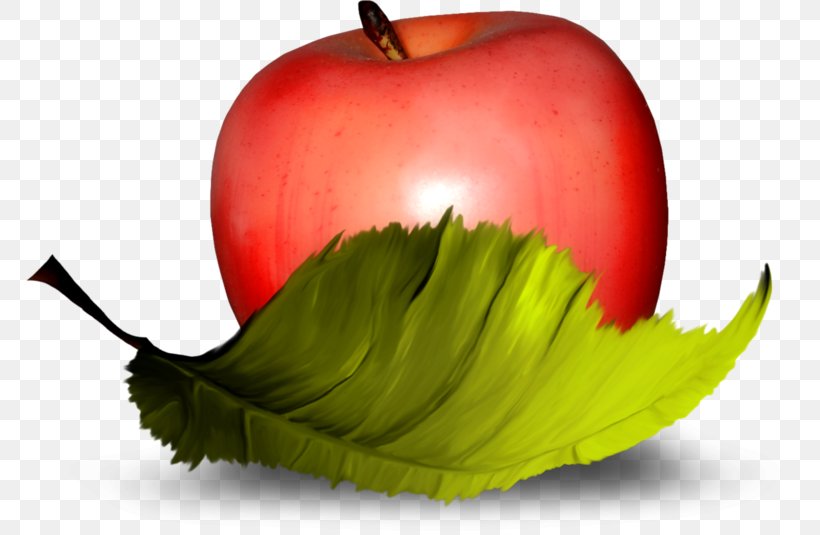 Apple Fruit Vegetable Clip Art, PNG, 767x535px, Apple, Confectionery, Diet Food, Drawing, Food Download Free