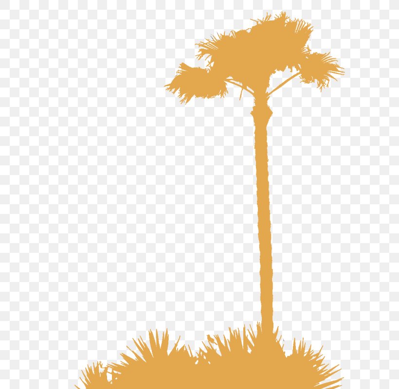 Arecaceae Silhouette Tree Clip Art, PNG, 600x800px, Arecaceae, Branch, Flower, Flowering Plant, Information Download Free