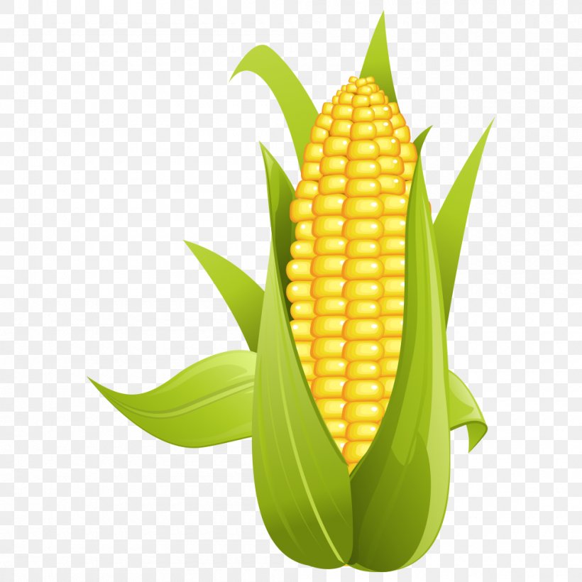 Corn On The Cob Maize Sweet Corn Clip Art, PNG, 1000x1000px, Corn On The Cob, Commodity, Corn Kernels, Drawing, Field Corn Download Free