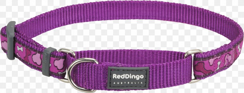 Dog Collar Dingo Martingale, PNG, 3000x1155px, Dog, Buckle, Choker, Collar, Dingo Download Free