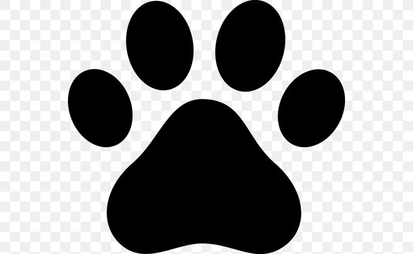 Dog Paw Cat Puppy Clip Art, PNG, 550x504px, Dog, Animal Track, Black, Black And White, Cat Download Free