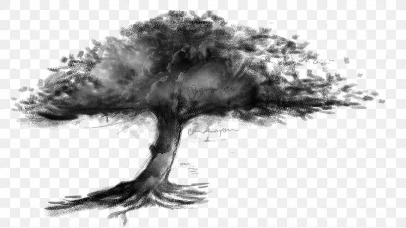 Drawing Shadow Tree, PNG, 1920x1080px, Drawing, Black And White, Branch, Designer, Monochrome Download Free