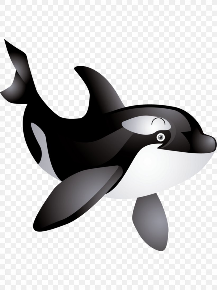 Killer Whale Baby Whale Clip Art, PNG, 1000x1340px, Killer Whale, Baby Whale, Beak, Black And White, Blue Whale Download Free