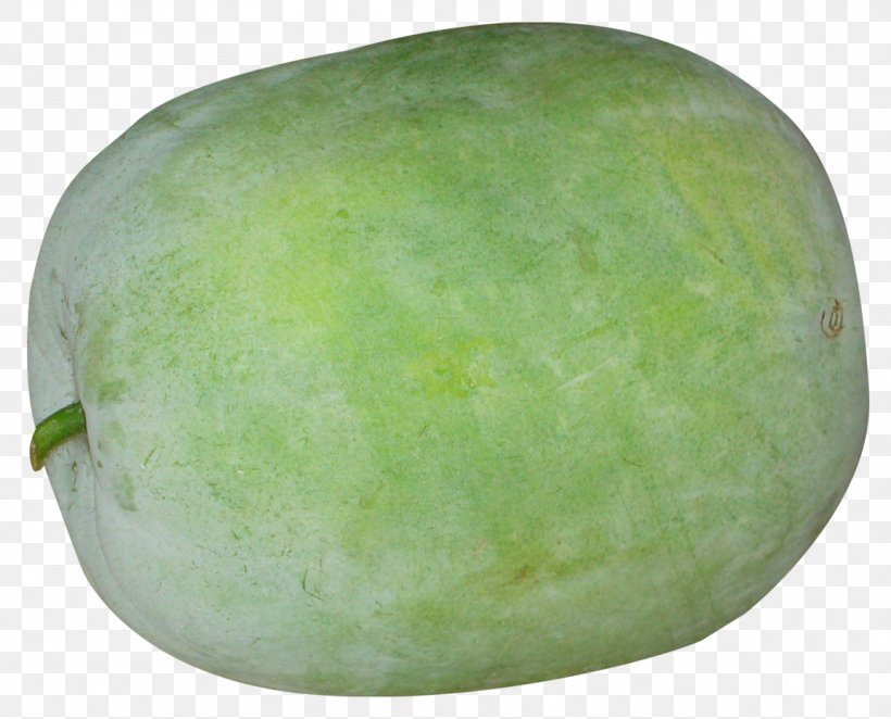 Watermelon Wax Gourd, PNG, 1153x931px, Melon, Copying, Cucumber, Cucumber Gourd And Melon Family, Food Download Free