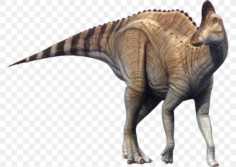 Dinosaur, PNG, 768x581px, Dinosaur, Animal Figure, Extinction, Pachycephalosaurus, Tyrannosaurus Download Free