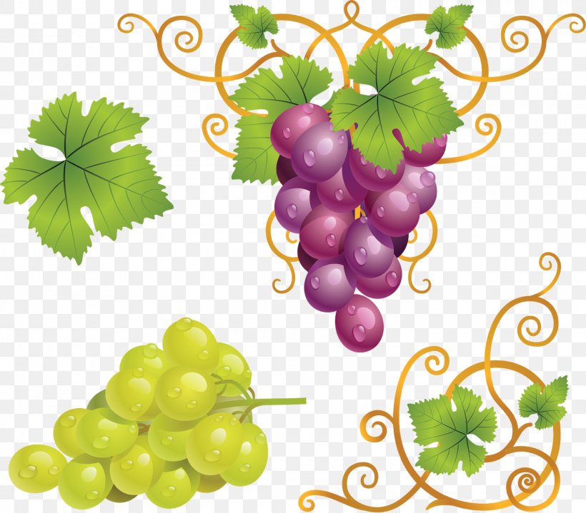 Red Wine Grape Clip Art, PNG, 1600x1403px, Wine, Bottle, Flowering ...