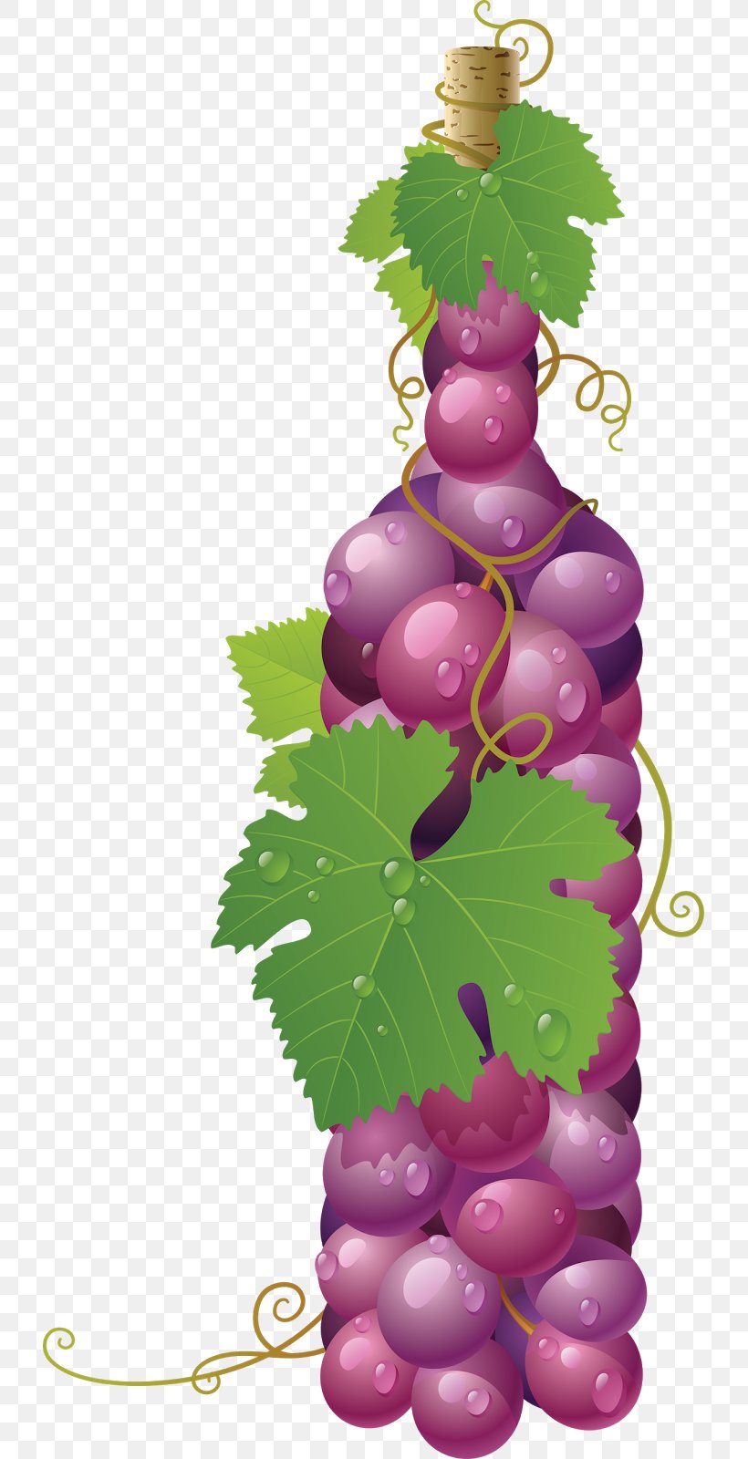 Common Grape Vine Wine Grape Leaves, PNG, 725x1600px, Common Grape Vine, Bottle, Flowering Plant, Food, Fruit Download Free