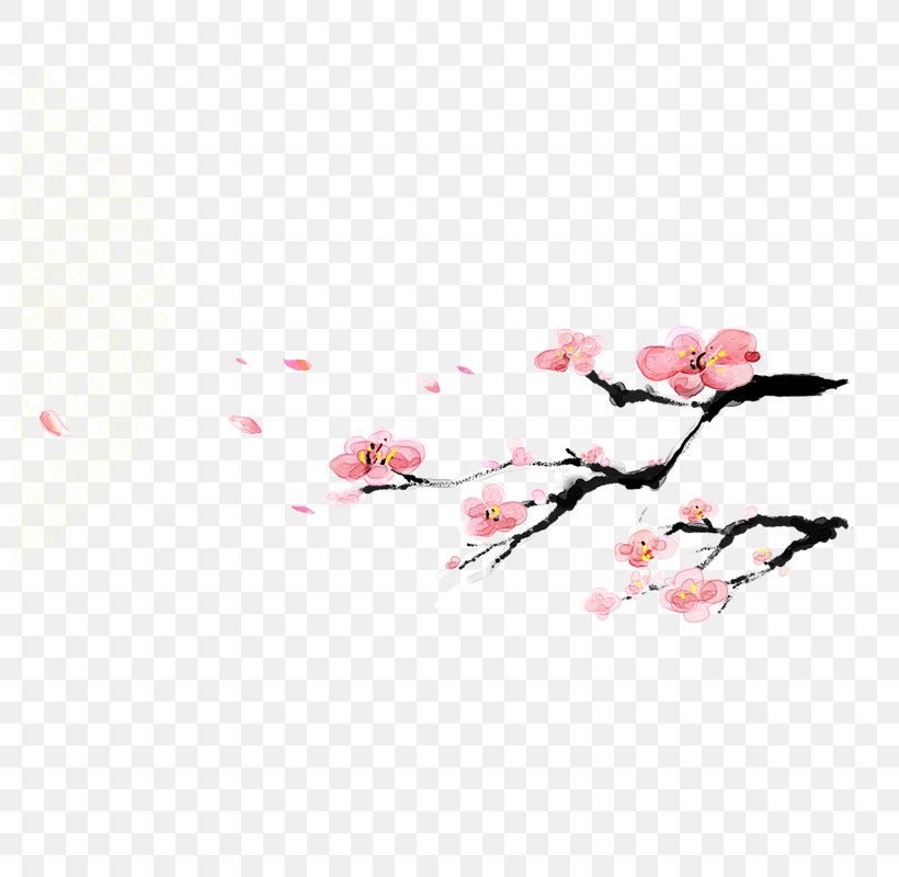 Firecracker Chinese New Year, PNG, 800x800px, Firecracker, Blossom, Branch, Cherry Blossom, Chinese New Year Download Free