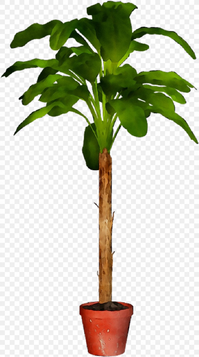 Flowerpot Tree Houseplant Plant Stem Plants, PNG, 931x1669px, Flowerpot, Flower, Flowering Plant, Houseplant, Leaf Download Free