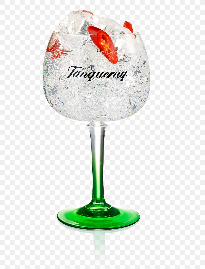 Gin And Tonic Wine Glass Cocktail Garnish Tanqueray Tonic Water, PNG, 493x1078px, Gin And Tonic, Chili Con Carne, Cocktail, Cocktail Garnish, Coriander Download Free