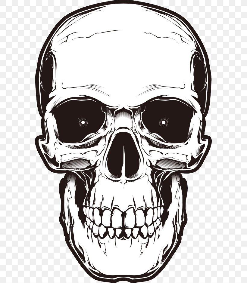 Human Skull Symbolism, PNG, 587x941px, 3d Computer Graphics, Skull, Automotive Design, Black And White, Bone Download Free