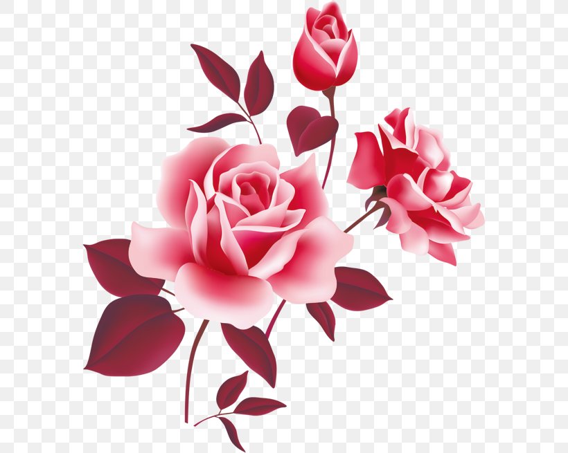 Rose Pink Free Clip Art, PNG, 582x655px, Rose, Art, Artificial Flower, Blog, Cut Flowers Download Free