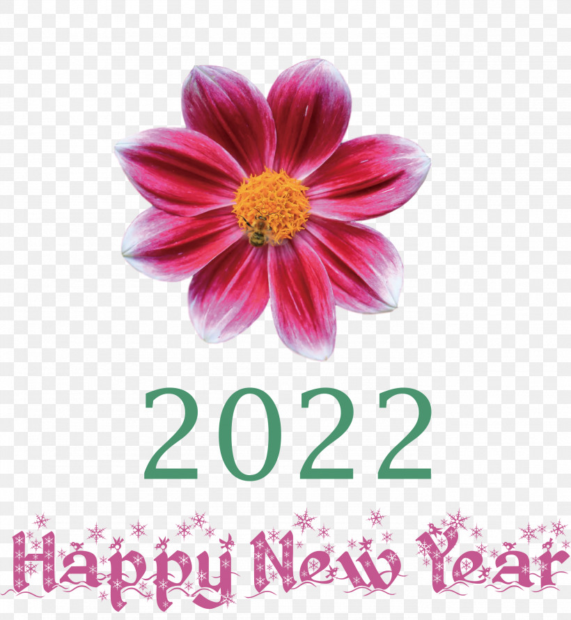 2022 Happy New Year 2022 New Year 2022, PNG, 2763x3000px, Dahlia, Argyranthemum, Biology, Chrysanthemum, Cut Flowers Download Free