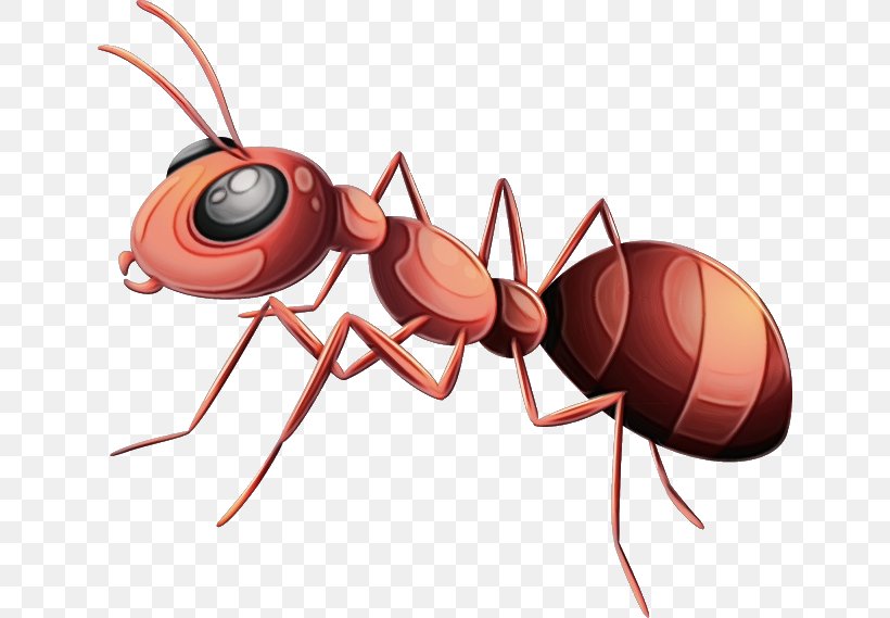 Ant Cartoon, PNG, 640x569px, Ant, Carpenter Ant, Dream, Dream Dictionary, Human Download Free