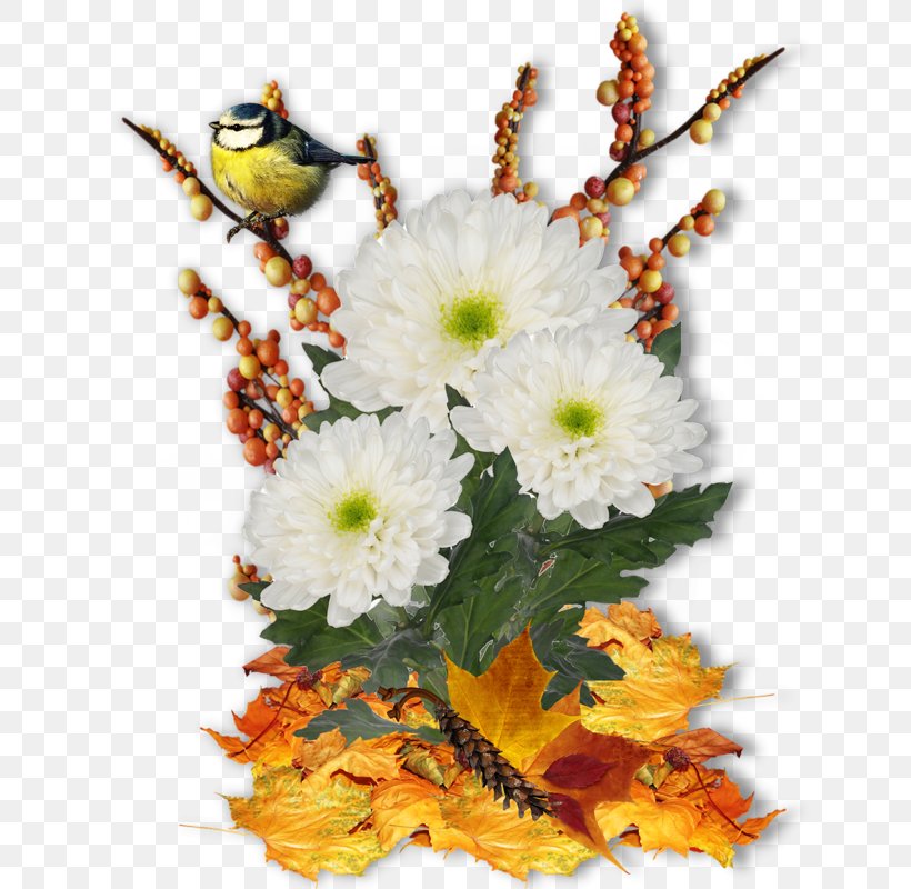 Floral Design Flower Image Clip Art, PNG, 800x800px, Floral Design, Art, Autumn, Chrysanths, Cut Flowers Download Free