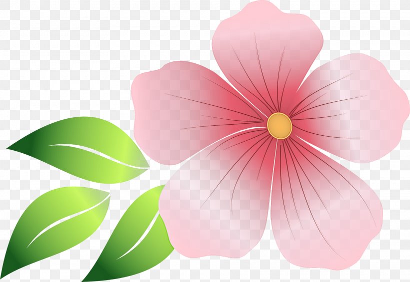 Petal Pink Flower Plant Leaf, PNG, 1920x1323px, Petal, Flower, Impatiens, Leaf, Pink Download Free