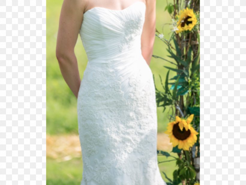Wedding Dress Party Dress Cocktail Dress Gown, PNG, 1024x768px, Wedding Dress, Bridal Clothing, Bridal Party Dress, Bride, Cocktail Download Free