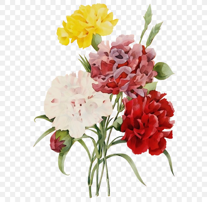Artificial Flower, PNG, 597x800px, Watercolor, Artificial Flower, Bouquet, Carnation, Cut Flowers Download Free