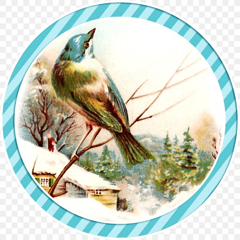 Bird Royalty-free Winter Clip Art, PNG, 883x883px, Bird, Beak, Bird Nest, Collage, Decoupage Download Free