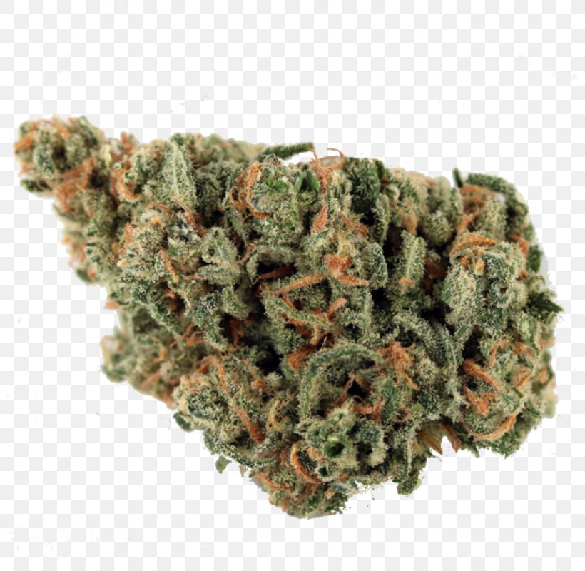 Cannabis Haze Skunk Blueberry Marijuana, PNG, 800x800px, Cannabis, Atlanta, Atlanta Weed, Berry, Blueberry Download Free
