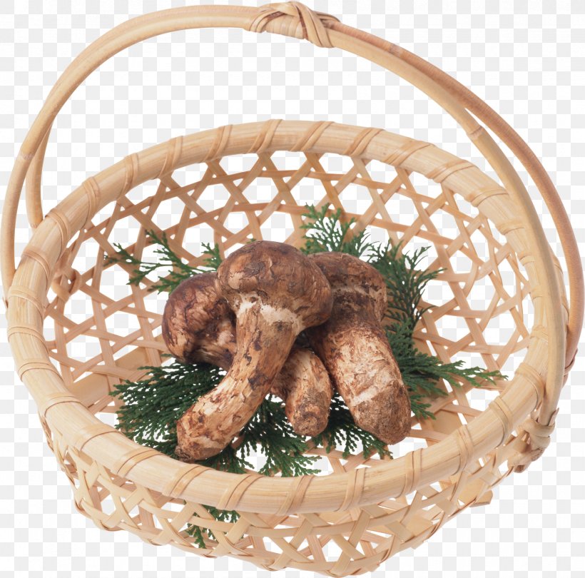 Mushroom Basket Matsutake Vegetable, PNG, 1688x1668px, Mushroom, Adobe Premiere Pro, Basket, Bread, Digital Image Download Free