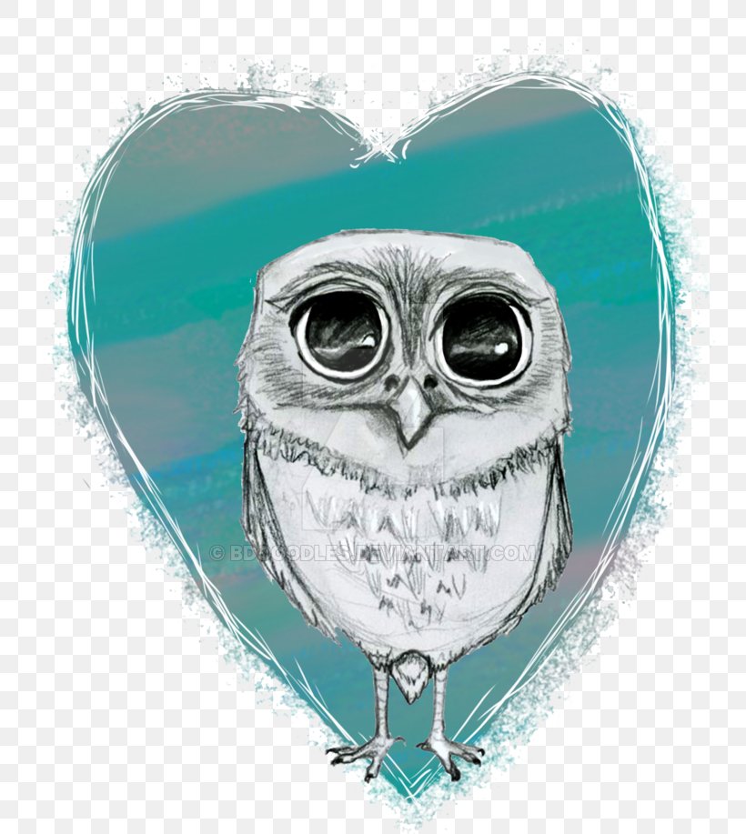 Owl Turquoise Beak, PNG, 800x917px, Owl, Beak, Bird, Bird Of Prey, Turquoise Download Free
