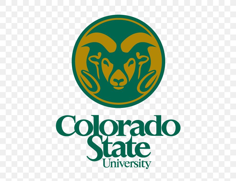 California State University, Stanislaus Surplus Property Master's Degree College, PNG, 553x629px, University, Area, Artwork, Brand, College Download Free