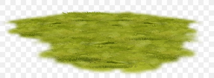 Clip Art, PNG, 1280x469px, Grass, Collage, Deepintheforest, Grass Family, Green Download Free