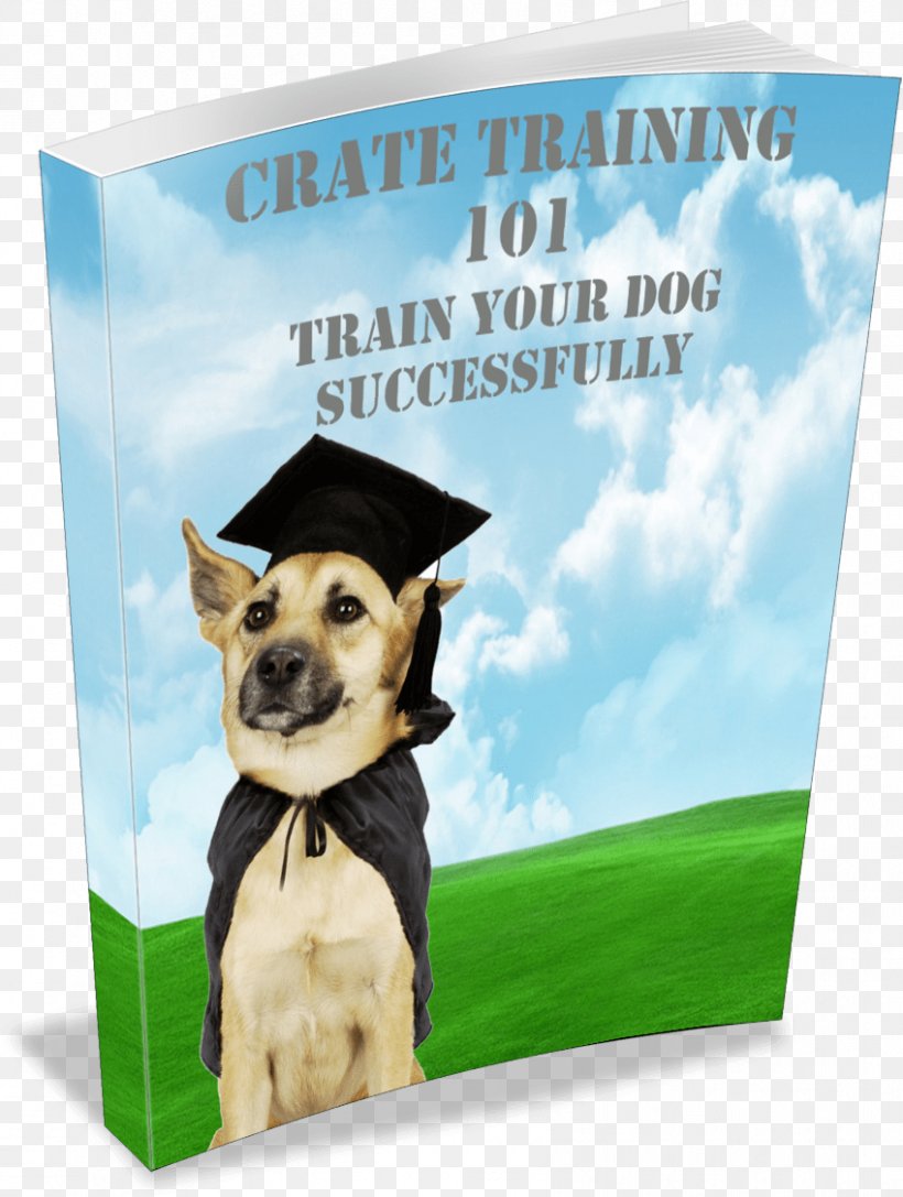 Dog Breed Obedience Training Dog Training Bark, PNG, 849x1126px, Dog Breed, Advertising, Banner, Bark, Biting Download Free