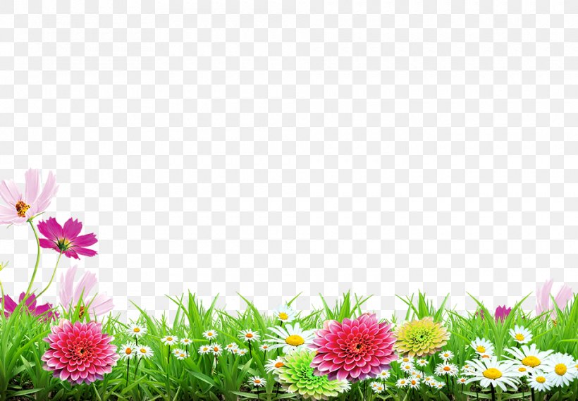Poster, PNG, 960x667px, Poster, Animation, Dahlia, Daisy, Daisy Family Download Free