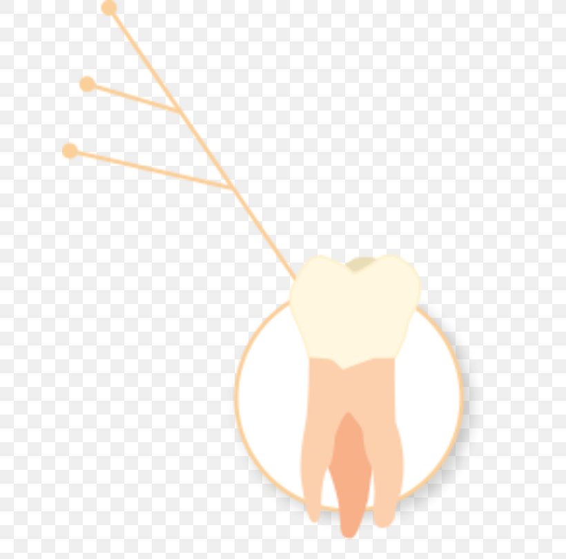 Tooth Thumb Jaw Clip Art, PNG, 640x809px, Watercolor, Cartoon, Flower, Frame, Heart Download Free