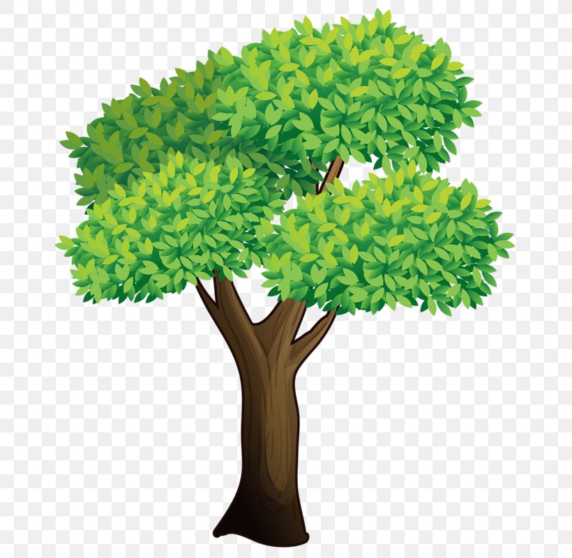 Tree Clip Art Vector Graphics Illustration Image, PNG, 700x800px, Tree, Branch, Drawing, Flower, Flowerpot Download Free