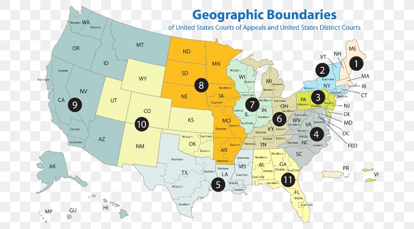 United States Of America United States Court Of Appeals For The Federal Circuit Federal Judiciary Of The United States Federal Government Of The United States, PNG, 700x454px, United States Of America, Appeal, Appellate Court, Area, Circuit Court Download Free