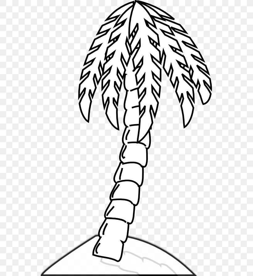 Arecaceae Tree Drawing Black And White Clip Art, PNG, 555x894px, Arecaceae, Areca Palm, Black And White, Branch, Coconut Download Free