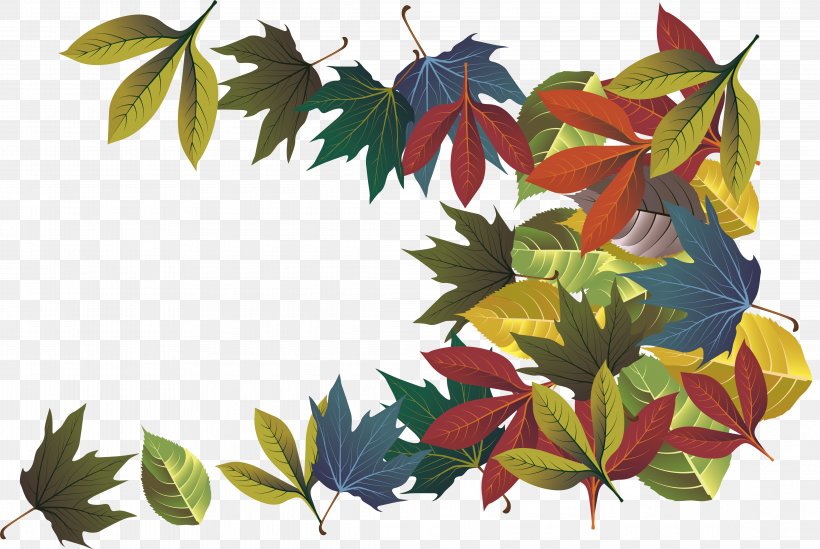 Autumn Leaves Leaf Vector Graphics Deciduous, PNG, 4467x2995px, Autumn, Autumn Leaf Color, Autumn Leaves, Black Maple, Botany Download Free