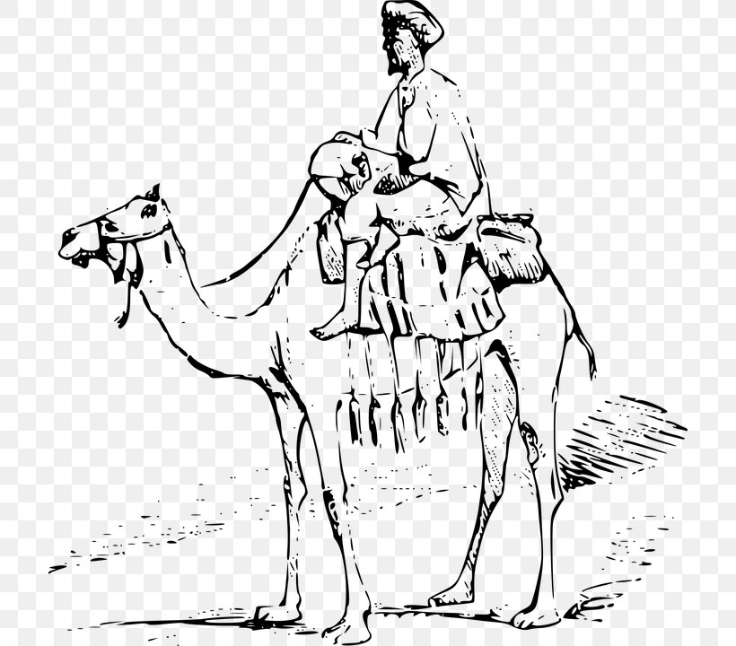 Dromedary Black And White Watercolor Painting Drawing Sketch, PNG, 712x720px, Dromedary, Animal, Arabian Camel, Art, Black And White Download Free