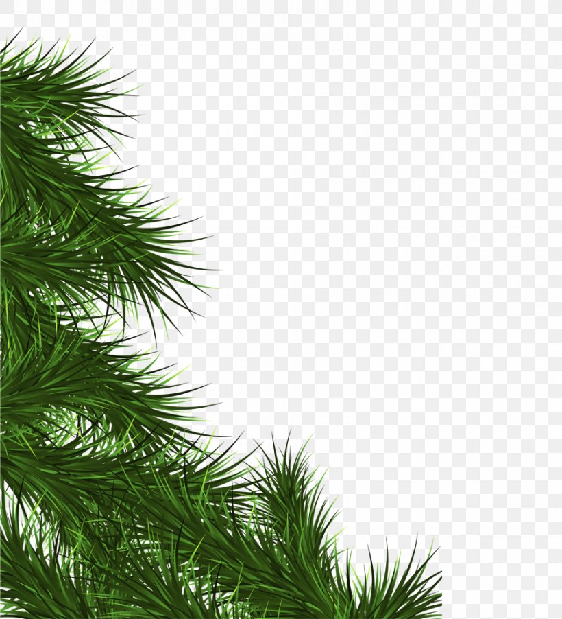 Fir Branch Christmas Tree Leaf, PNG, 900x990px, Fir, Branch, Christmas, Christmas Decoration, Christmas Ornament Download Free