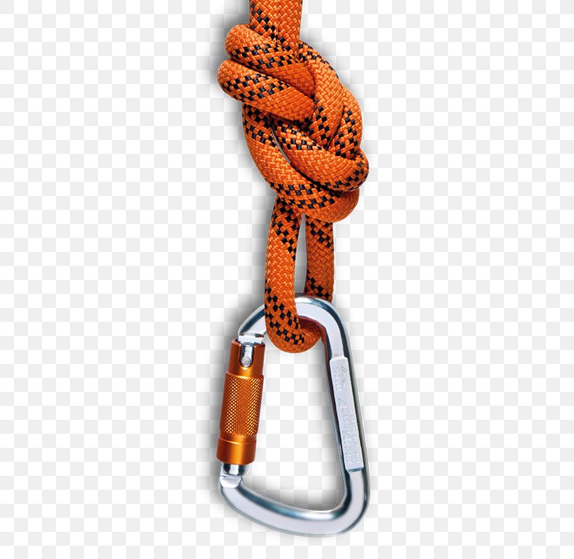 Safety Harness Rope Fall Protection Carabiner, PNG, 480x799px, Safety Harness, Carabiner, Climbing Harnesses, Competencia, Fall Protection Download Free