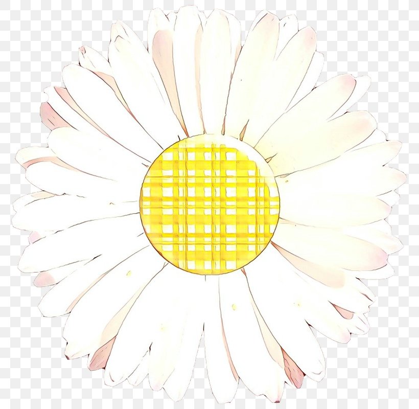 Daisy, PNG, 800x800px, Cartoon, Camomile, Chamomile, Daisy, Flower Download Free