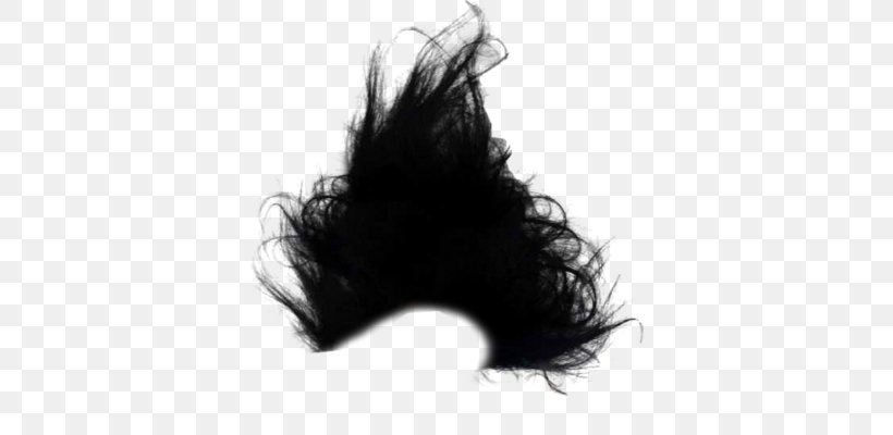 Black Hair Flowing Hair Dollar, PNG, 362x400px, Hair, Birth Of Venus, Black, Black And White, Black Hair Download Free