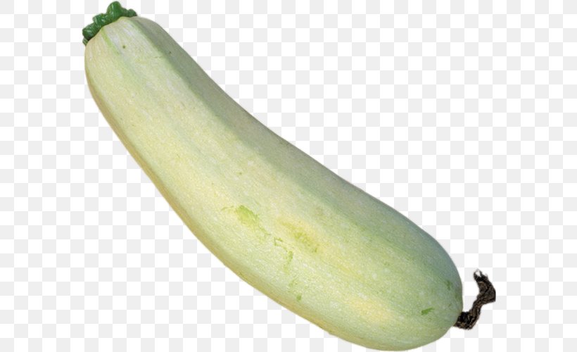Cucumber Wax Gourd Summer Squash Winter Squash, PNG, 590x500px, Cucumber, Banana Family, Cooking, Cooking Banana, Cooking Plantain Download Free