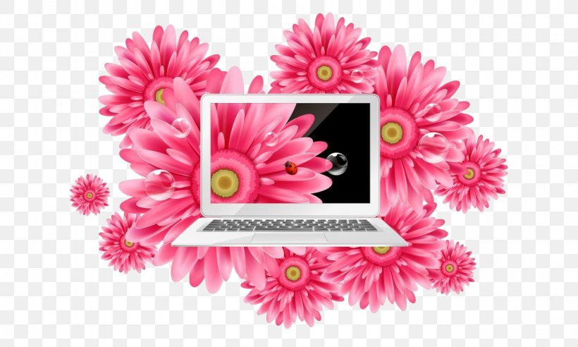 Flowers Background, PNG, 1280x768px, 169 Aspect Ratio, Computer Monitors, Asus, Barberton Daisy, Computer Download Free