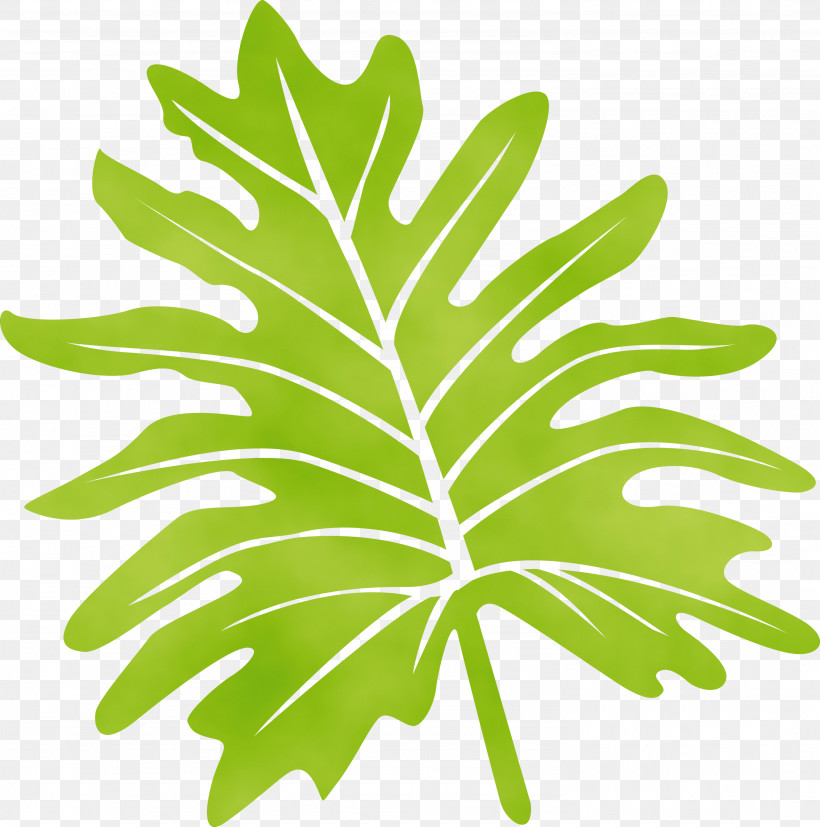 Leaf Plant Stem Leaf Vegetable Line Tree, PNG, 2972x3000px, Leaf, Biology, Geometry, Leaf Vegetable, Line Download Free