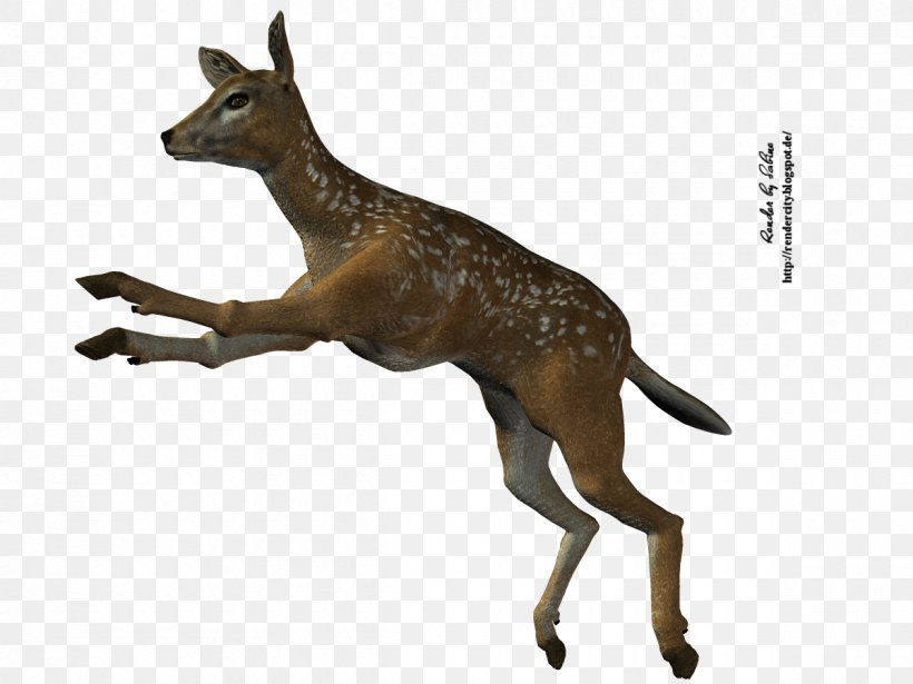Roe Deer Stock Photography, PNG, 1200x900px, 3d Computer Graphics, Deer, Animal Figure, Depositphotos, Fauna Download Free