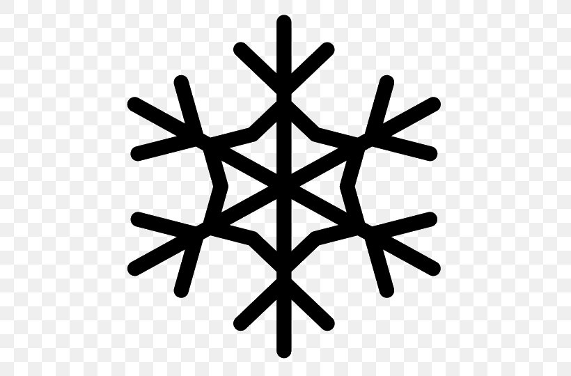 Snowflake Cold Winter, PNG, 540x540px, Snowflake, Black And White, Cold, Crystal, Flat Design Download Free